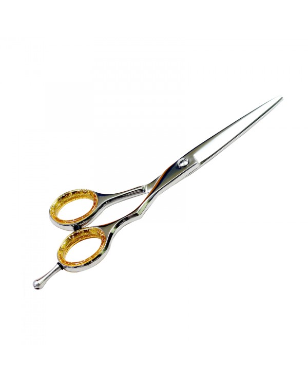 Professional Hair Cutting Scissors