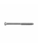 Cancellous Screw