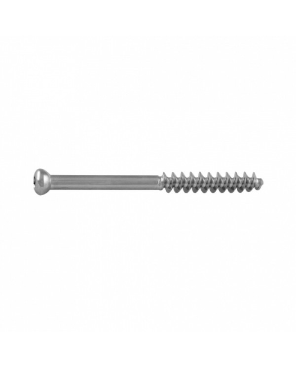 Cancellous Screw